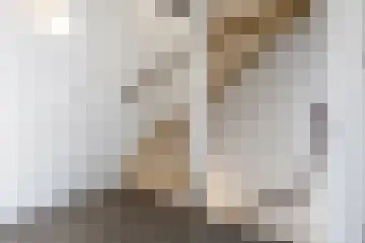 Willem Alexanderhof 9 Huissen thumbnail 27