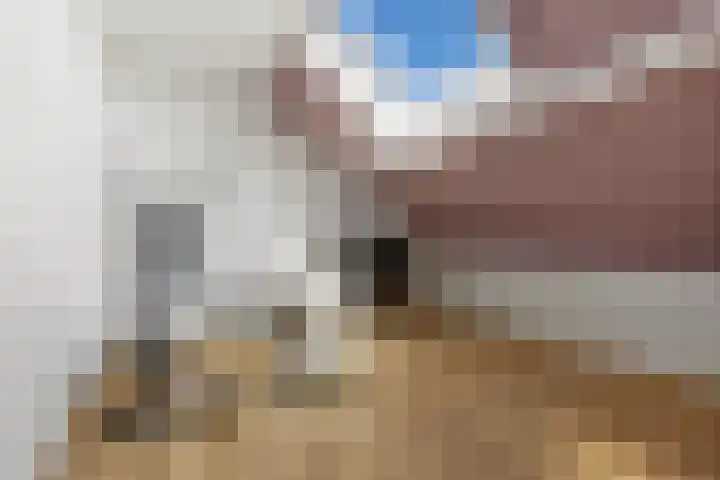 Willem Alexanderhof 9 Huissen thumbnail 31