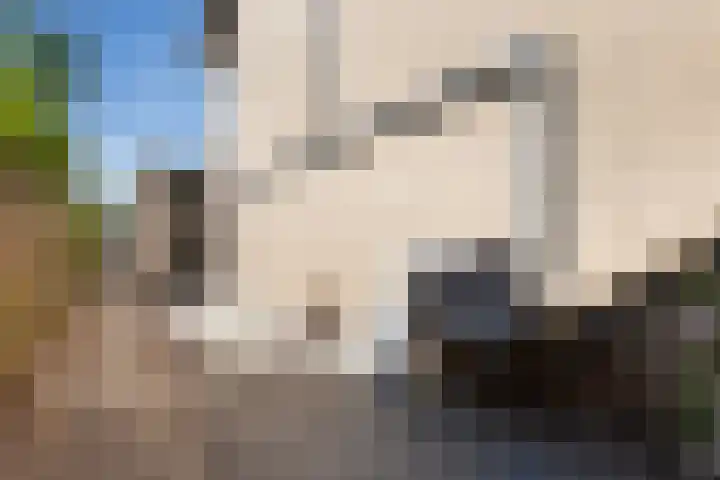 Willem Alexanderhof 9 Huissen thumbnail 37