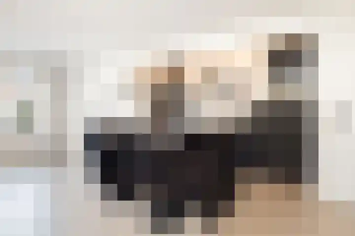 Willem Alexanderhof 9 Waalwijk thumbnail 13