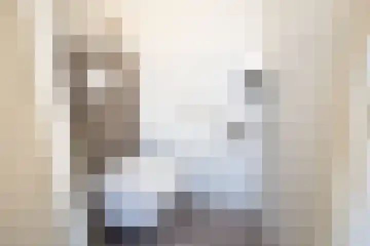 Willem Alexanderhof 9 Waalwijk thumbnail 20