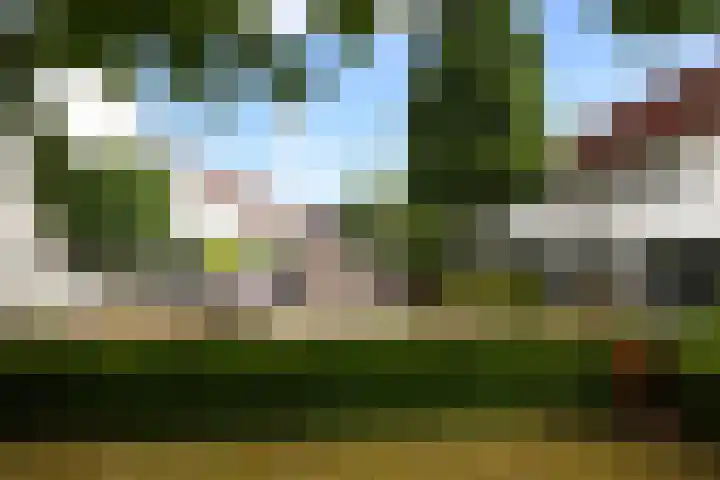 Willem Alexanderhof 9 Waalwijk thumbnail 5