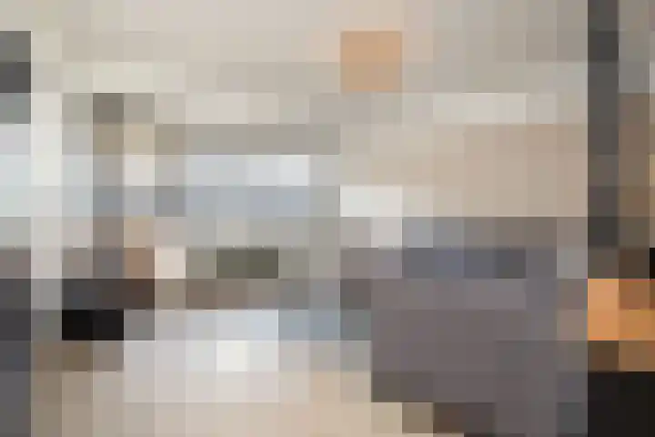 Willem Alexanderhof 9 Waalwijk thumbnail 9