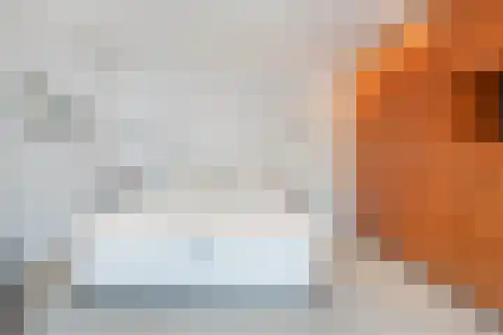 Willem Alexanderlaan 10 Sittard thumbnail 21