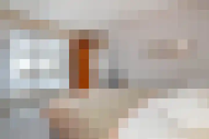 Willem Alexanderlaan 10 Sittard thumbnail 22