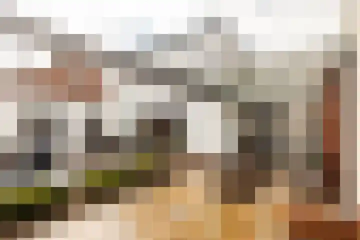 Willem Alexanderlaan 10 Sittard thumbnail 42