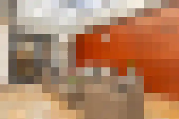 Willem Alexanderlaan 10 Sittard thumbnail 43