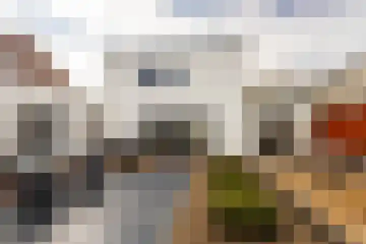 Willem Alexanderlaan 10 Sittard thumbnail 45