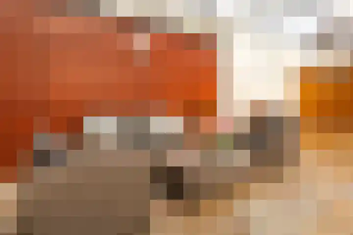 Willem Alexanderlaan 10 Sittard thumbnail 48