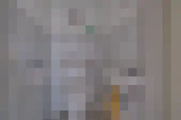 Willem Alexanderlaan 14 Ruurlo thumbnail 15