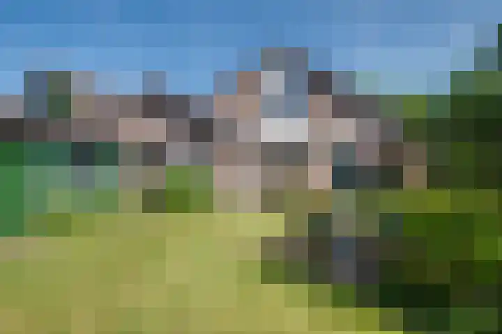 Willem Alexanderlaan 14 Ruurlo thumbnail 22