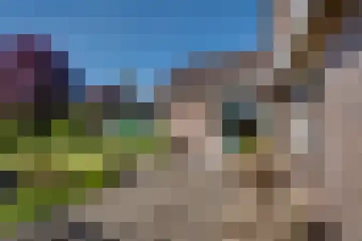 Willem Alexanderlaan 14 Ruurlo thumbnail 23