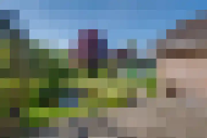 Willem Alexanderlaan 14 Ruurlo thumbnail 24