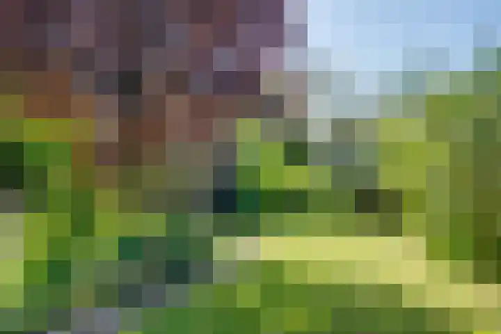 Willem Alexanderlaan 14 Ruurlo thumbnail 25
