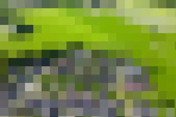 Willem Alexanderlaan 14 Ruurlo thumbnail 26