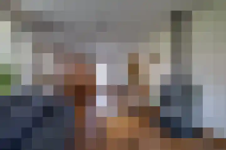 Willem Alexanderlaan 14 Ruurlo thumbnail 8
