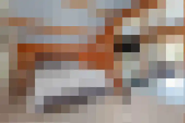 Willem-Alexanderlaan 14 Vught thumbnail 23