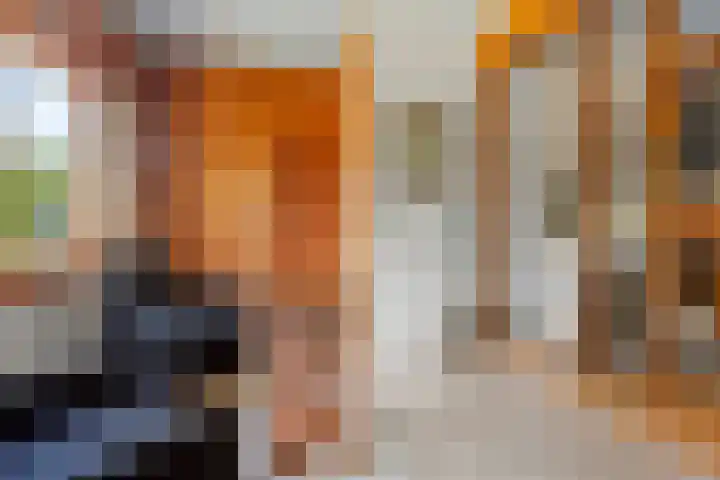 Willem-Alexanderlaan 14 Vught thumbnail 26