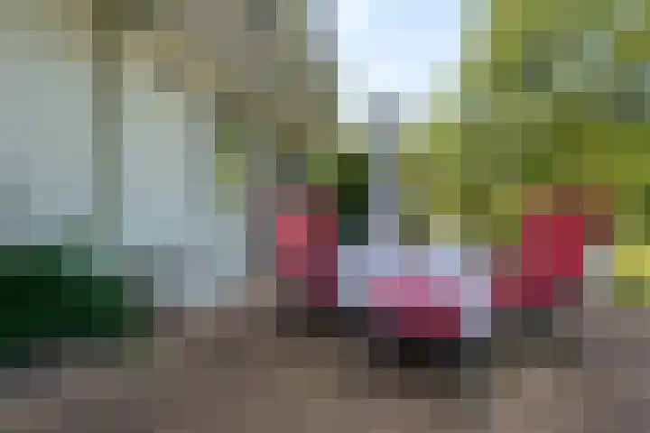 Willem-Alexanderlaan 14 Vught thumbnail 30