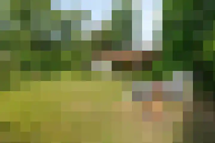 Willem-Alexanderlaan 14 Vught thumbnail 33