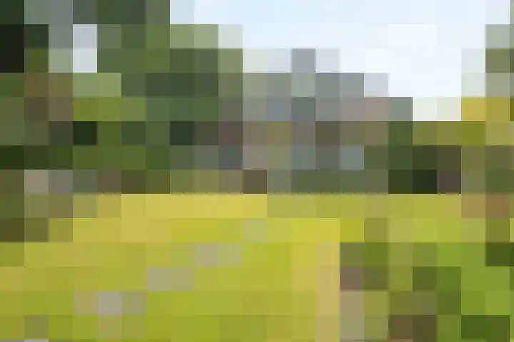 Willem-Alexanderlaan 14 Vught thumbnail 36