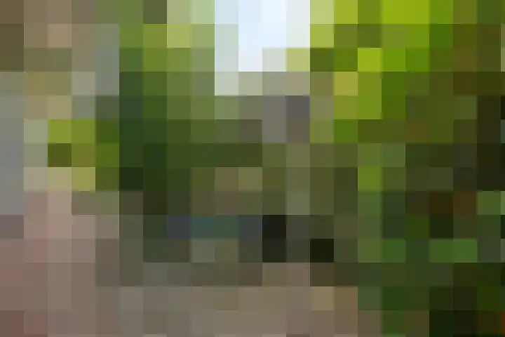 Willem-Alexanderlaan 14 Vught thumbnail 37