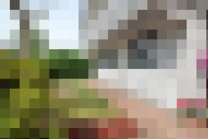 Willem-Alexanderlaan 14 Vught thumbnail 38