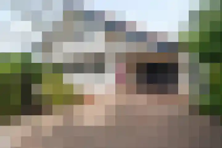 Willem-Alexanderlaan 14 Vught thumbnail 39