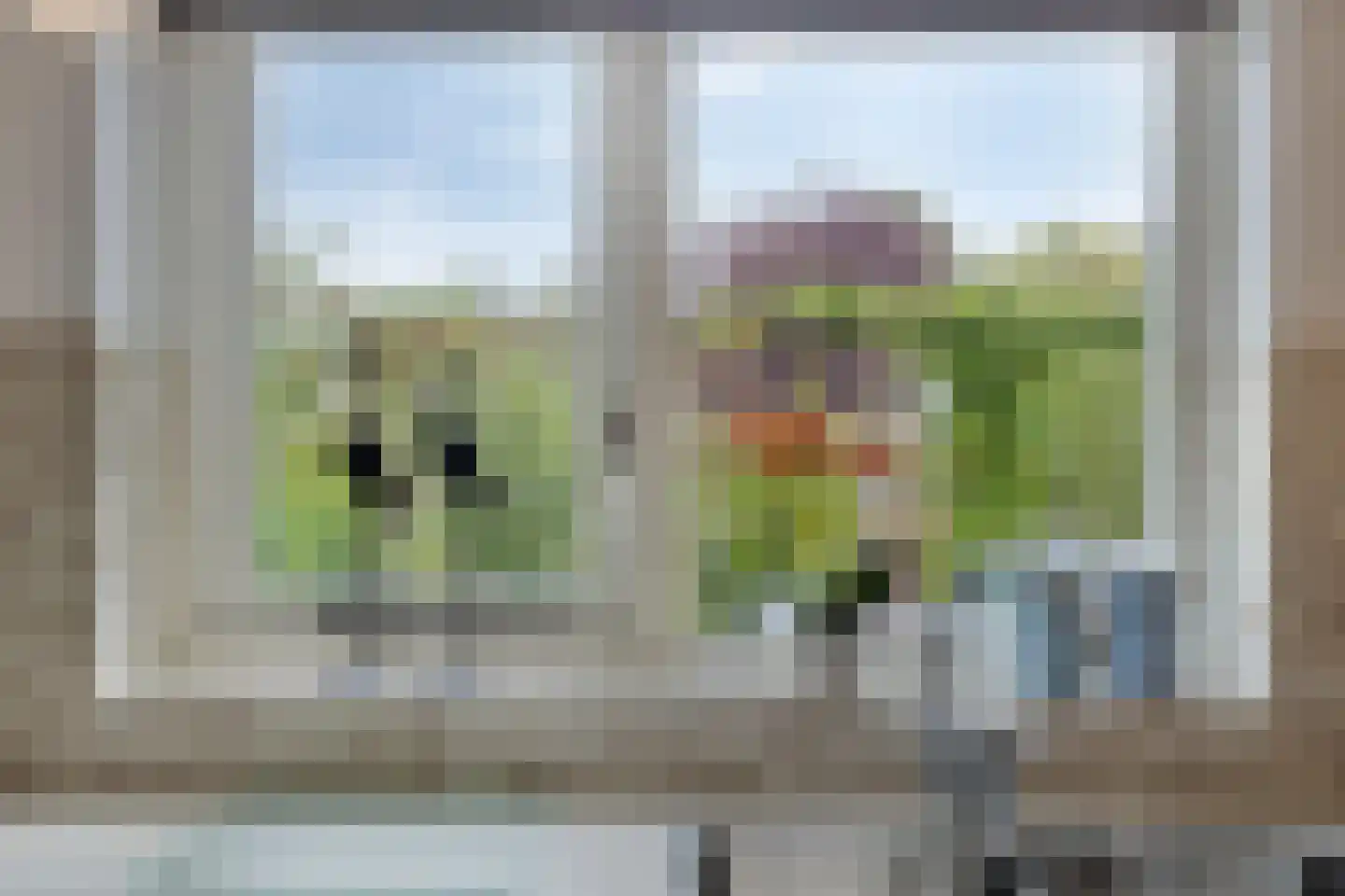 Willem Alexanderlaan 16 Ruurlo thumbnail 11