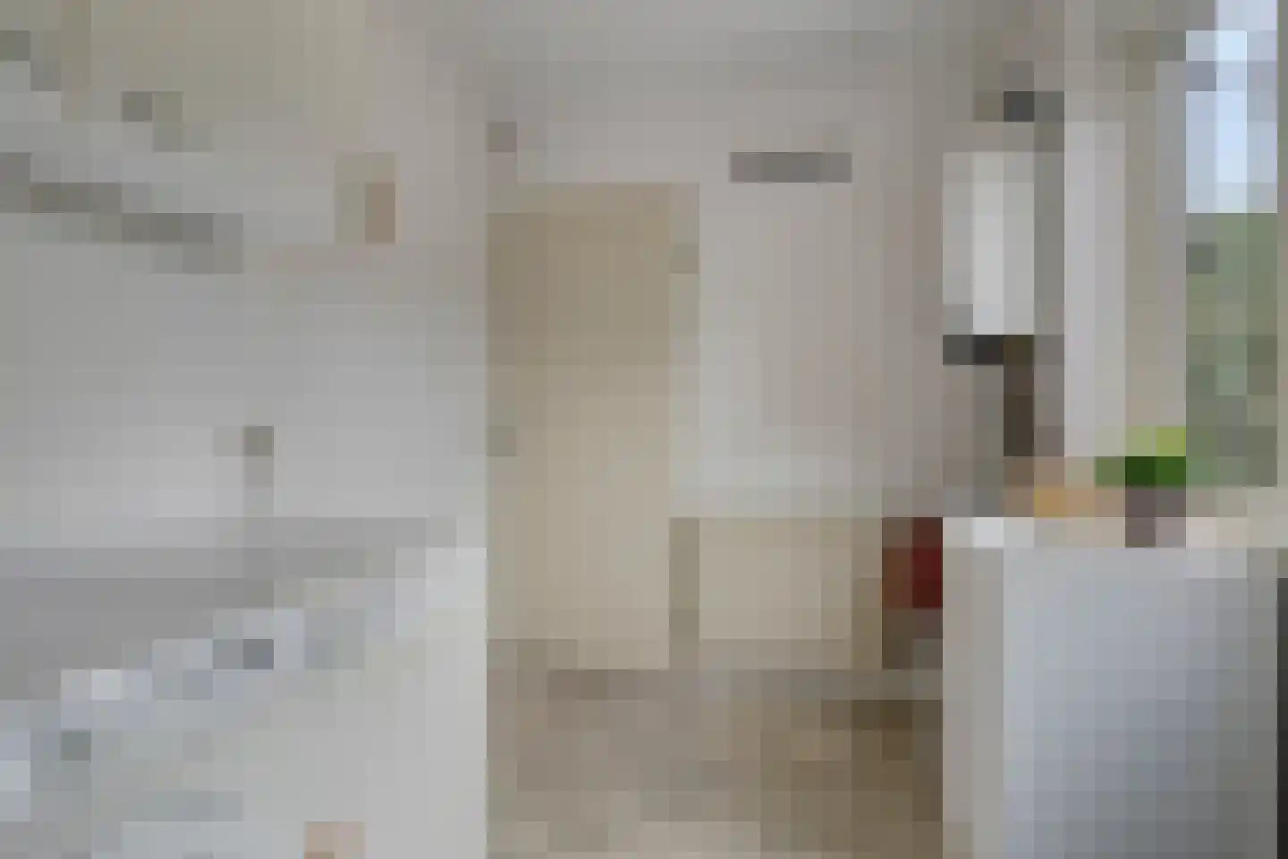 Willem Alexanderlaan 16 Ruurlo thumbnail 14