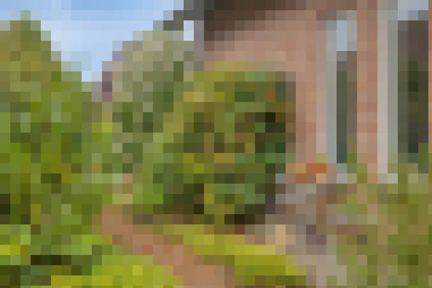 Willem Alexanderlaan 16 Ruurlo thumbnail 36