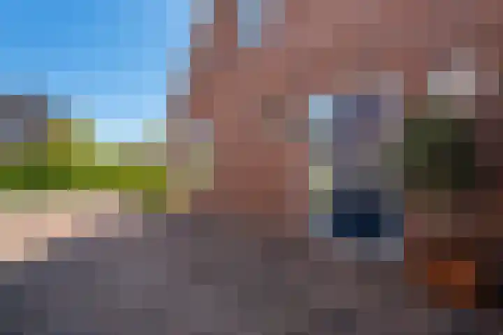 Willem-Alexanderlaan 17 Appingedam thumbnail 12