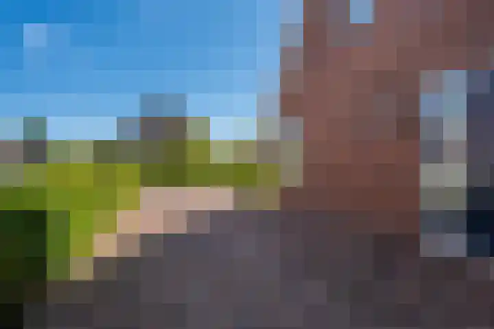 Willem-Alexanderlaan 17 Appingedam thumbnail 13