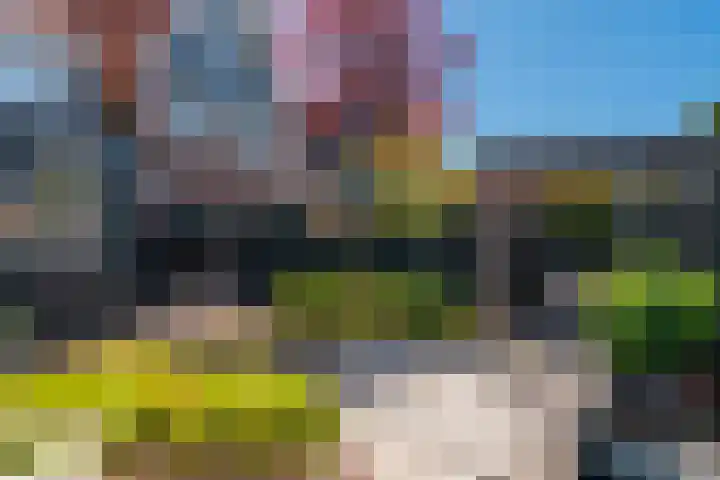 Willem-Alexanderlaan 17 Appingedam thumbnail 15
