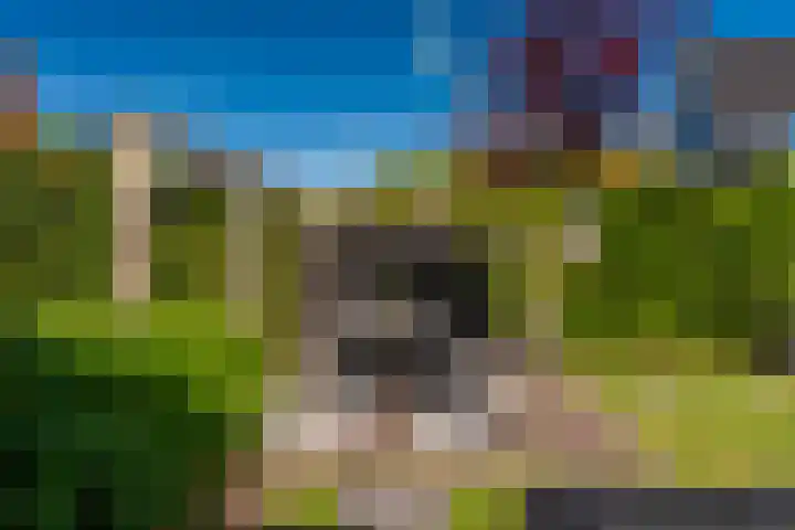 Willem-Alexanderlaan 17 Appingedam thumbnail 17