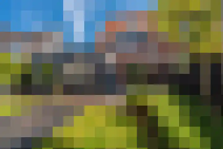 Willem-Alexanderlaan 17 Appingedam thumbnail 20