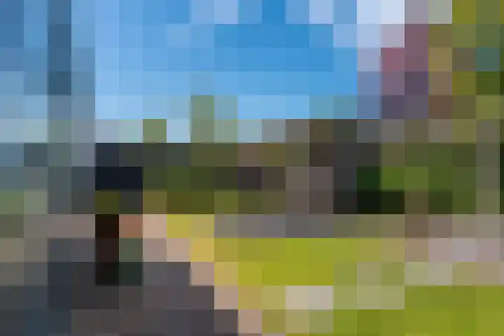 Willem-Alexanderlaan 17 Appingedam thumbnail 21