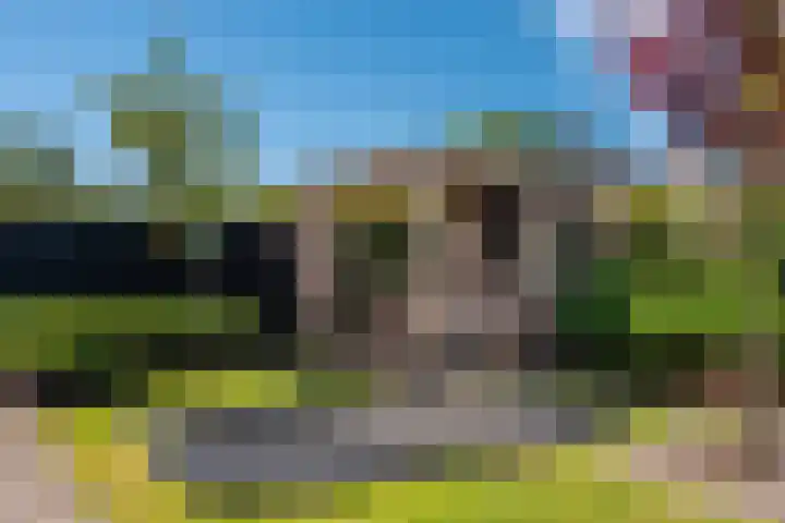 Willem-Alexanderlaan 17 Appingedam thumbnail 22