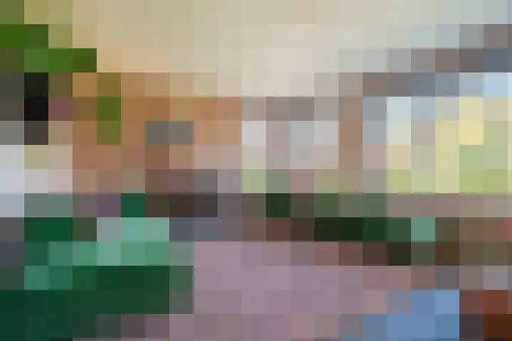 Willem-Alexanderlaan 17 Appingedam thumbnail 36