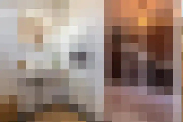 Willem-Alexanderlaan 17 Appingedam thumbnail 64