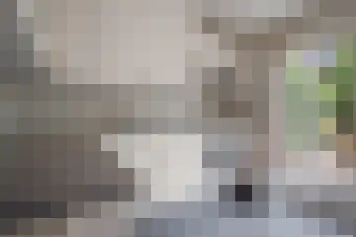 Willem-Alexanderlaan 17 Vught thumbnail 13