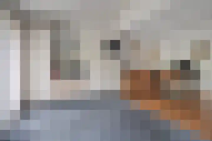 Willem-Alexanderlaan 17 Vught thumbnail 14