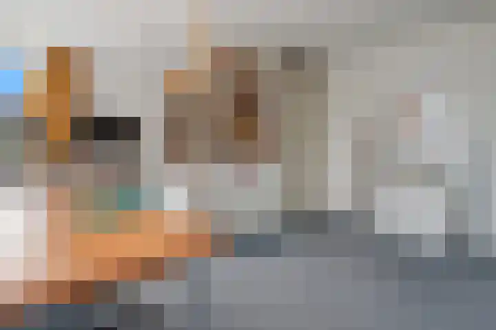 Willem-Alexanderlaan 17 Vught thumbnail 21