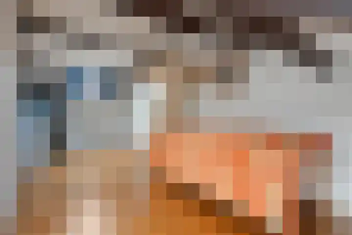 Willem-Alexanderlaan 17 Vught thumbnail 29