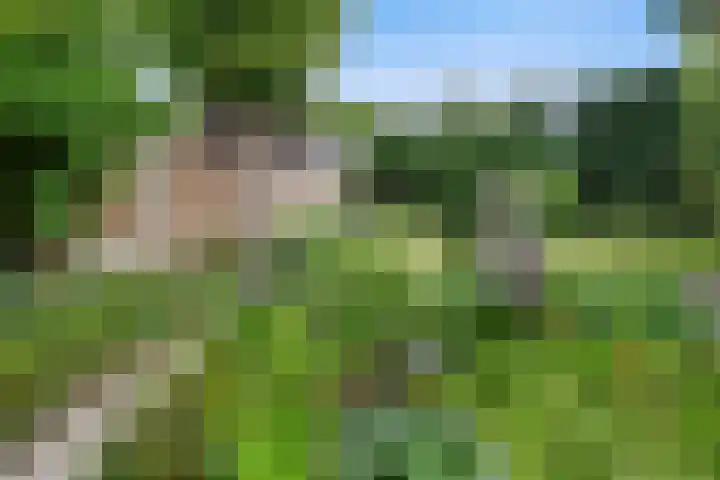 Willem-Alexanderlaan 17 Vught thumbnail 32