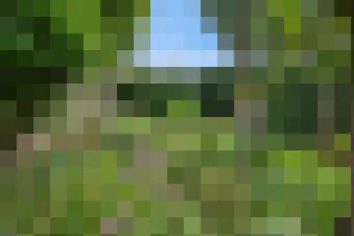 Willem-Alexanderlaan 17 Vught thumbnail 33