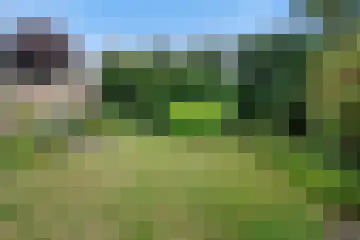 Willem-Alexanderlaan 17 Vught thumbnail 35