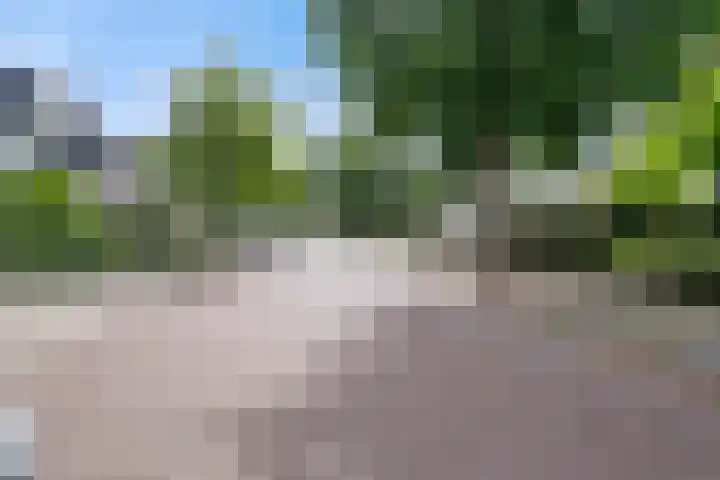 Willem-Alexanderlaan 17 Vught thumbnail 39