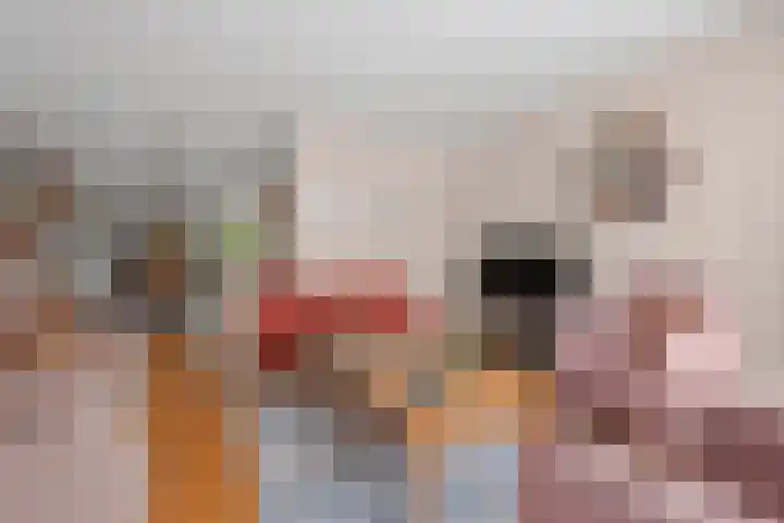 Willem-Alexanderlaan 17 Vught thumbnail 8