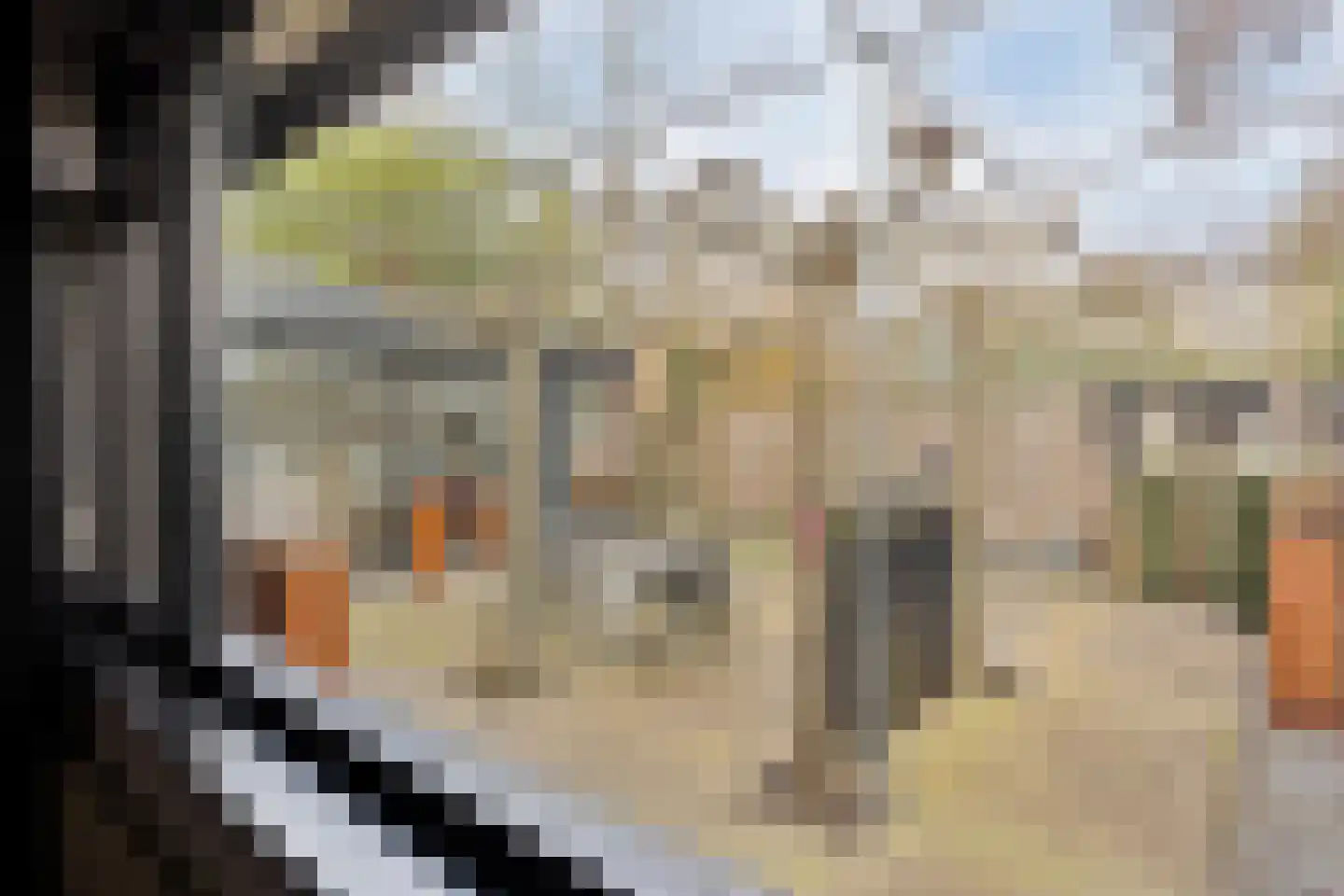 Willem Alexanderlaan 18 Poortugaal thumbnail 34